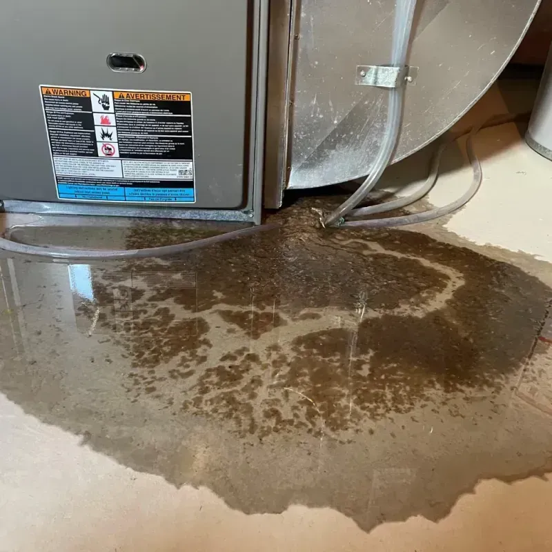 Appliance Leak Cleanup in Roscommon County, MI